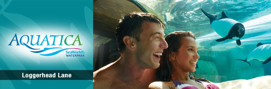 SeaWorld Orlando - Three Park Ticket - Acima de 3 anos "New Year Sale"